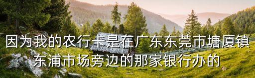 東莞恒大雅苑融易分行，東莞市辦理公積金提取建設(shè)銀行在哪里