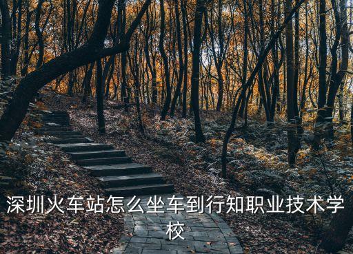 深圳市行知職業(yè)，深圳行知學(xué)校有什么職業(yè)
