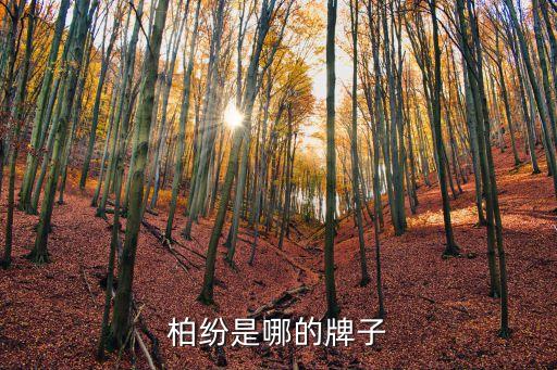 柏紛是哪的牌子