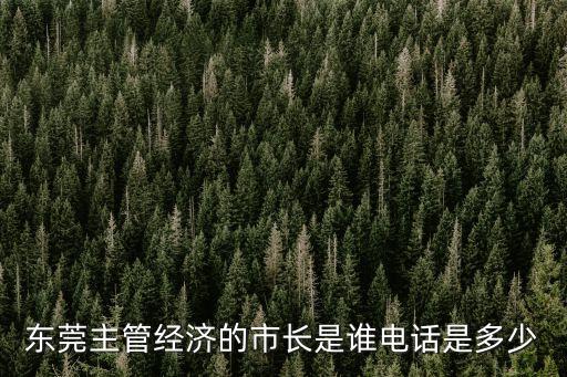 東莞主管經(jīng)濟(jì)的市長(zhǎng)是誰(shuí)電話是多少