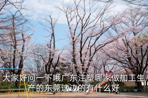 東莞通祥塑膠，大家好問一下哦廣東注塑哪家做加工生產的東莞這邊的有什么好