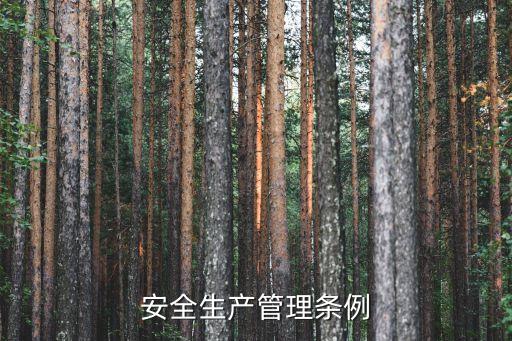廣州安全生產條例2017，安全生產管理條例