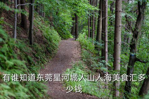 有誰知道東莞星河城人山人海美食匯多少錢
