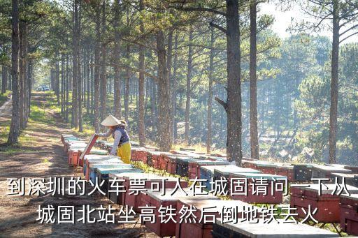 城固到深圳北，到深圳的火車票可人在城固請問一下從城固北站坐高鐵然后倒地鐵去火