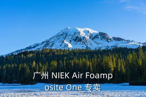 廣州 NIEK Air Foamposite One 專賣