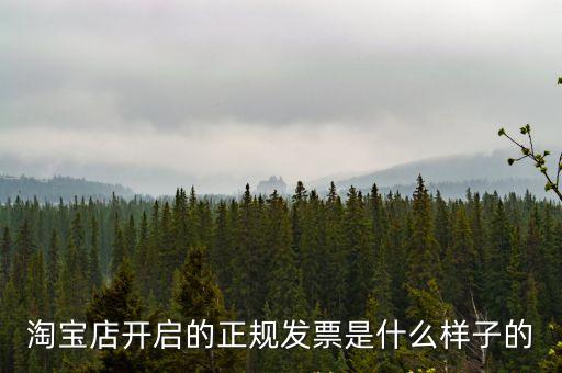 淘寶店開啟的正規(guī)發(fā)票是什么樣子的