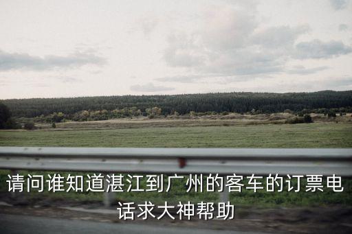 aa巴士廉江到廣州電話，20100820廉江到廣州的車票