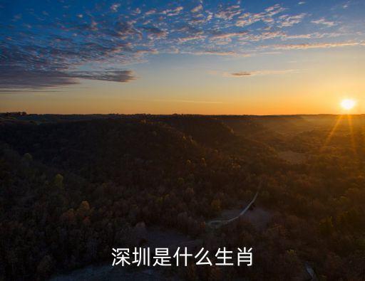 一流速度數(shù)深圳的生肖，深圳是什么生肖