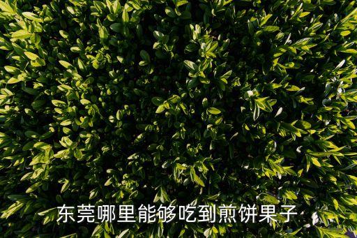 東莞哪里能夠吃到煎餅果子