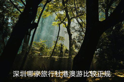 深圳郵輪總代理旅行社，深圳哪個旅行社可以報名游輪啊
