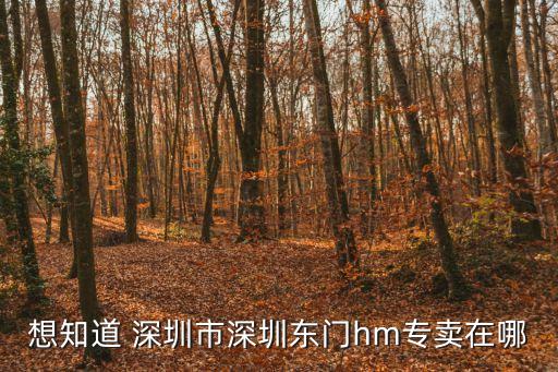 想知道 深圳市深圳東門hm專賣在哪