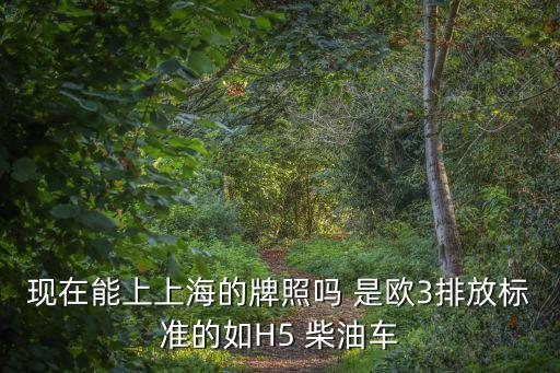 現在能上上海的牌照嗎 是歐3排放標準的如H5 柴油車