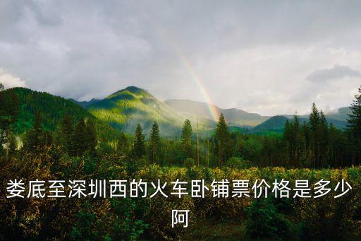 婁底至深圳西的火車臥鋪票價格是多少阿