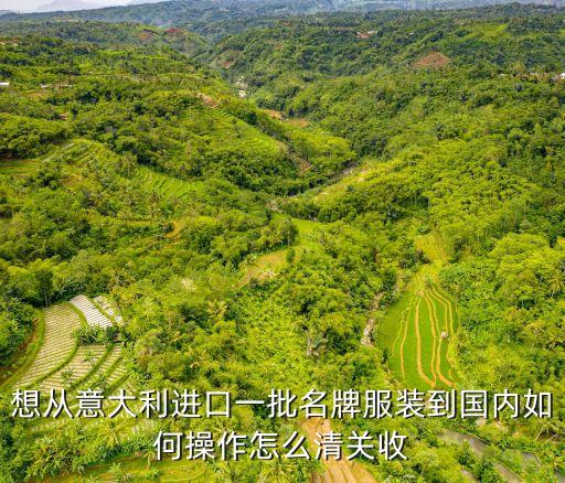 想從意大利進口一批名牌服裝到國內如何操作怎么清關收