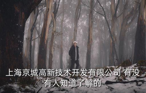 上海京城高新技術(shù)開發(fā)有限公司 有沒有人知道了解的