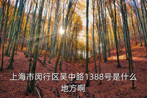 上海市閔行區吳中路1388號是什么地方啊