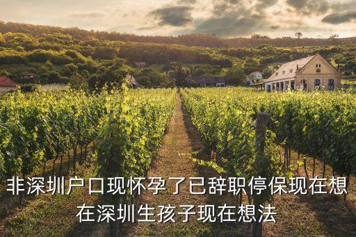 非深圳戶口現懷孕了已辭職停保現在想在深圳生孩子現在想法