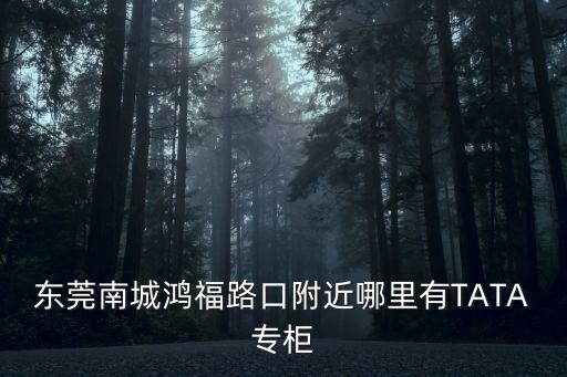 東莞南城鴻福路口有哪些外賣商家，東莞南城鴻福路口附近哪里有TATA專柜
