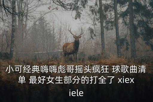 小可經(jīng)典嗨嗨彪哥搖頭瘋狂 球歌曲清單 最好女生部分的打全了 xiexiele