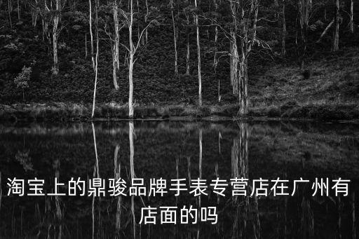 淘寶上的鼎駿品牌手表專營店在廣州有店面的嗎
