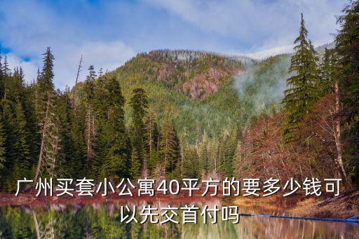 廣州買套小公寓40平方的要多少錢可以先交首付嗎
