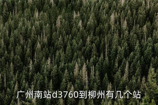 廣州南站d3760到柳州有幾個站