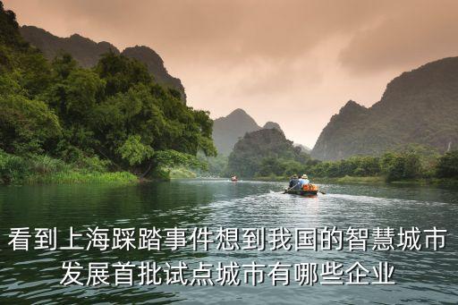 看到上海踩踏事件想到我國的智慧城市發展首批試點城市有哪些企業