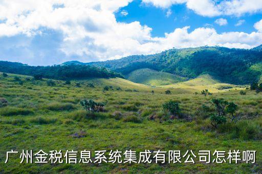廣州金稅股份招聘，廣州金稅公司跟國稅是什么關系