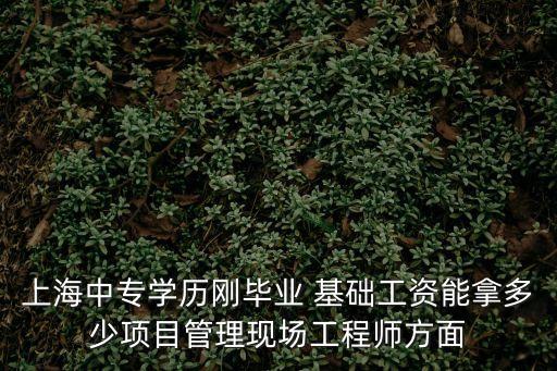 上海市剛剛畢業年終獎，上海中專學歷剛畢業 基礎工資能拿多少項目管理現場工程師方面
