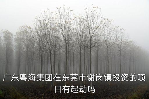 廣東粵海集團在東莞市謝崗鎮投資的項目有起動嗎
