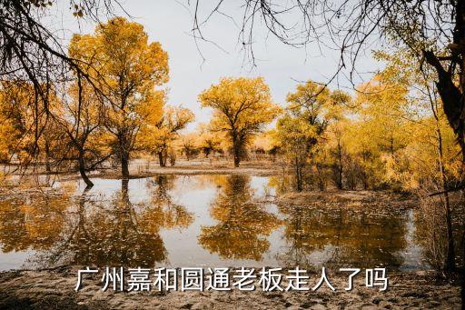 廣州嘉和圓通老板走人了嗎