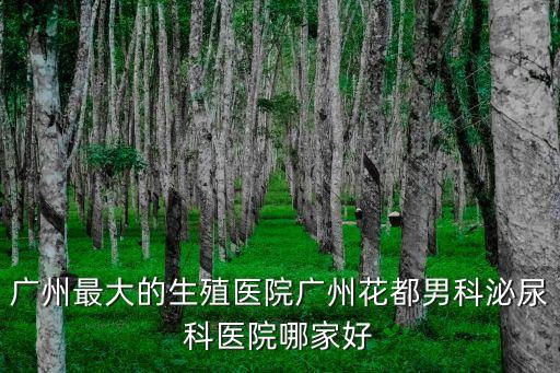 廣州花都同志，廣州很多大學生搞gay