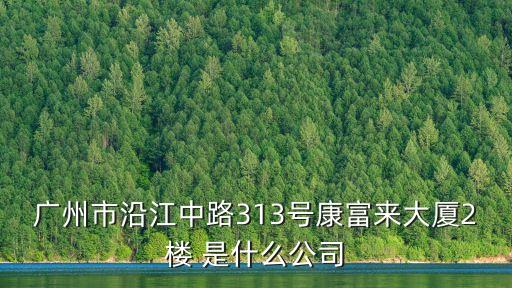 廣州市沿江中路313號康富來大廈2樓 是什么公司