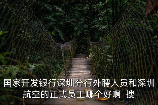 國家開發(fā)銀行深圳分行外聘人員和深圳航空的正式員工哪個好啊  搜