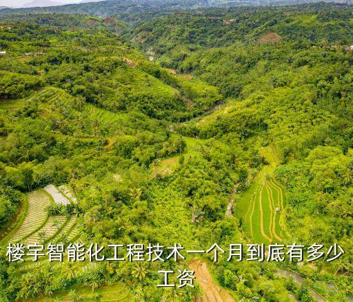 樓宇工程師在深圳月薪，樓宇智能化工程技術(shù)一個月到底有多少工資