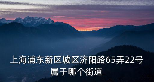 上海市郵電研究所，上海浦東新區城區濟陽路65弄22號屬于哪個街道