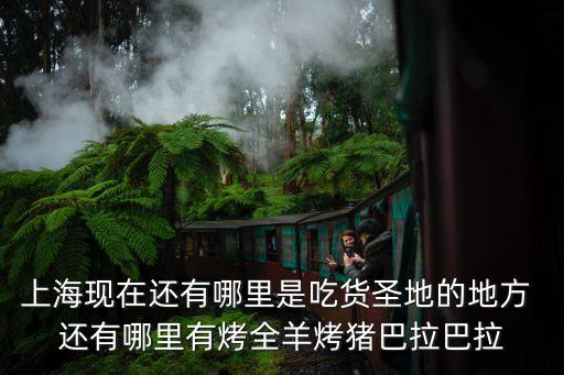 上海市吃貨攻略，這個假期我要到上海來玩啦我想知道一下上海有什么好吃的我這