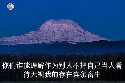 如何看待深圳交警熊警官，請問都市路路通怎么沒熊警官那個節目了哦感覺現在看著沒勁  搜