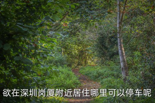 欲在深圳崗廈附近居住哪里可以停車呢