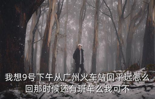 廣州火車站回平遠，廣州站到平洲站遠嗎