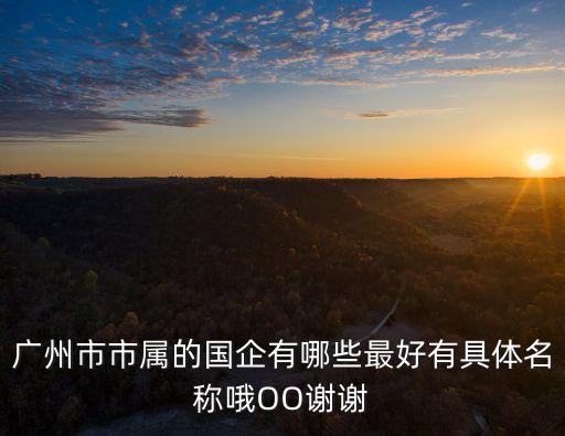 廣州市市屬的國企有哪些最好有具體名稱哦OO謝謝