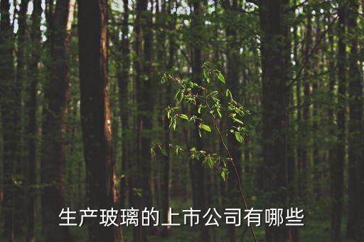 上海市玻璃生產企業，上海有哪些玻璃廠