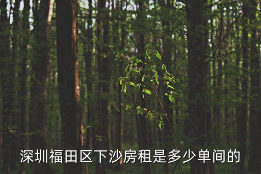 深圳下沙單間房東直租，深圳上沙下沙找有500元月的小單間房租嗎