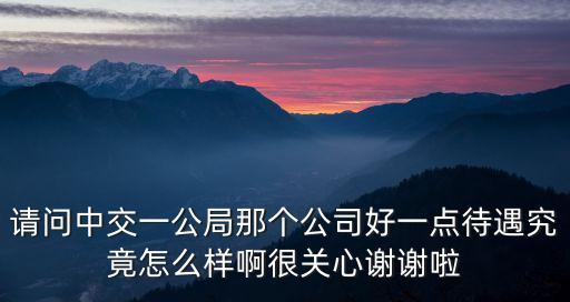 請問中交一公局那個公司好一點待遇究竟怎么樣啊很關心謝謝啦