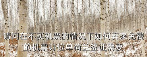 荷蘭簽證深圳簽證中心，持荷蘭護照從香港進深圳可否辦落地簽證