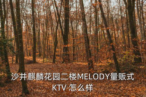 東莞沙頭麒麟花園，沙井麒麟花園二樓MELODY量販?zhǔn)終TV 怎么樣
