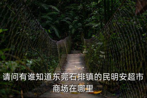 請問有誰知道東莞石排鎮的民明安超市商場在哪里