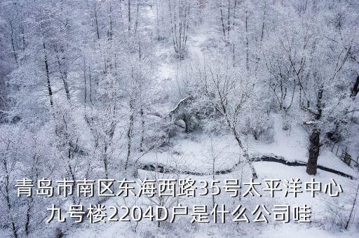 青島市南區東海西路35號太平洋中心九號樓2204D戶是什么公司哇