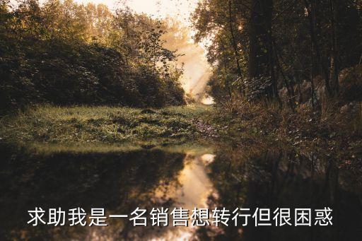深圳西紅士打暈，求助我是一名銷售想轉(zhuǎn)行但很困惑