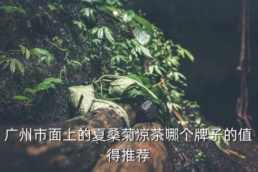 廣州市面上的夏桑菊涼茶哪個牌子的值得推薦